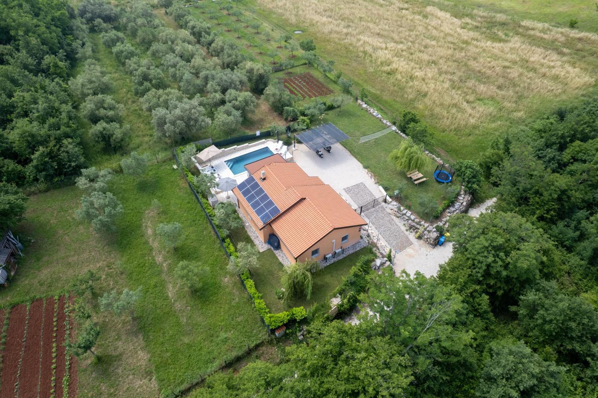 Villa Pendolina With Private Pool Buje Exterior photo