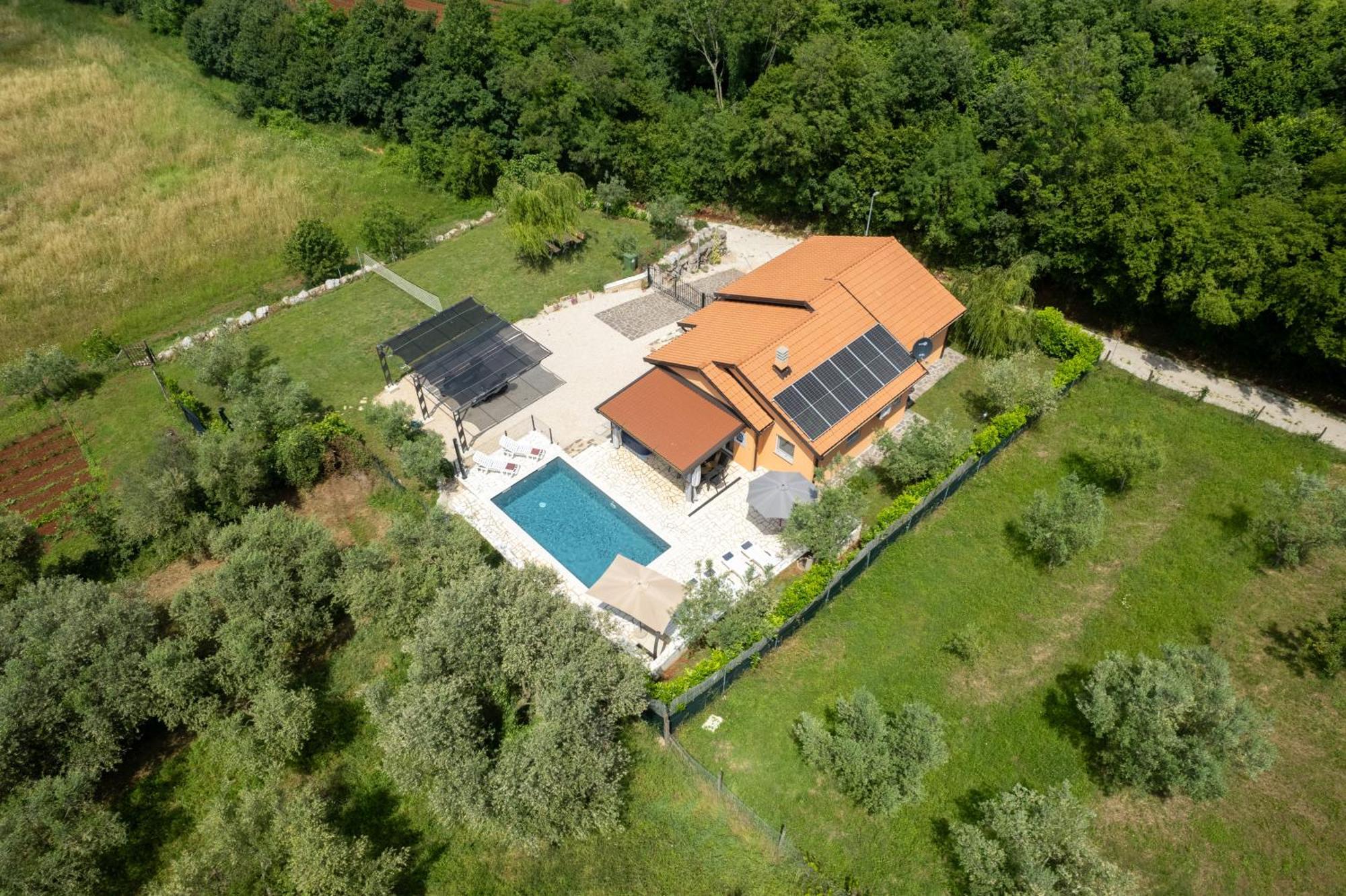 Villa Pendolina With Private Pool Buje Exterior photo