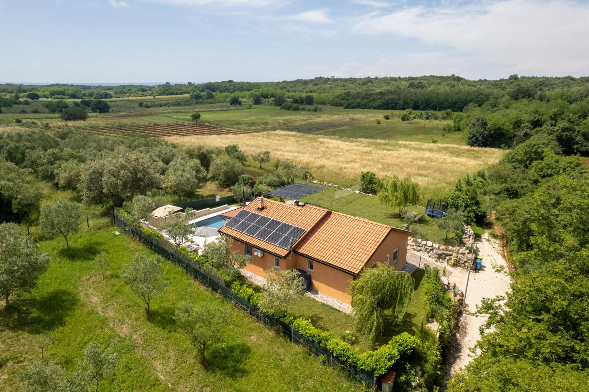Villa Pendolina With Private Pool Buje Exterior photo