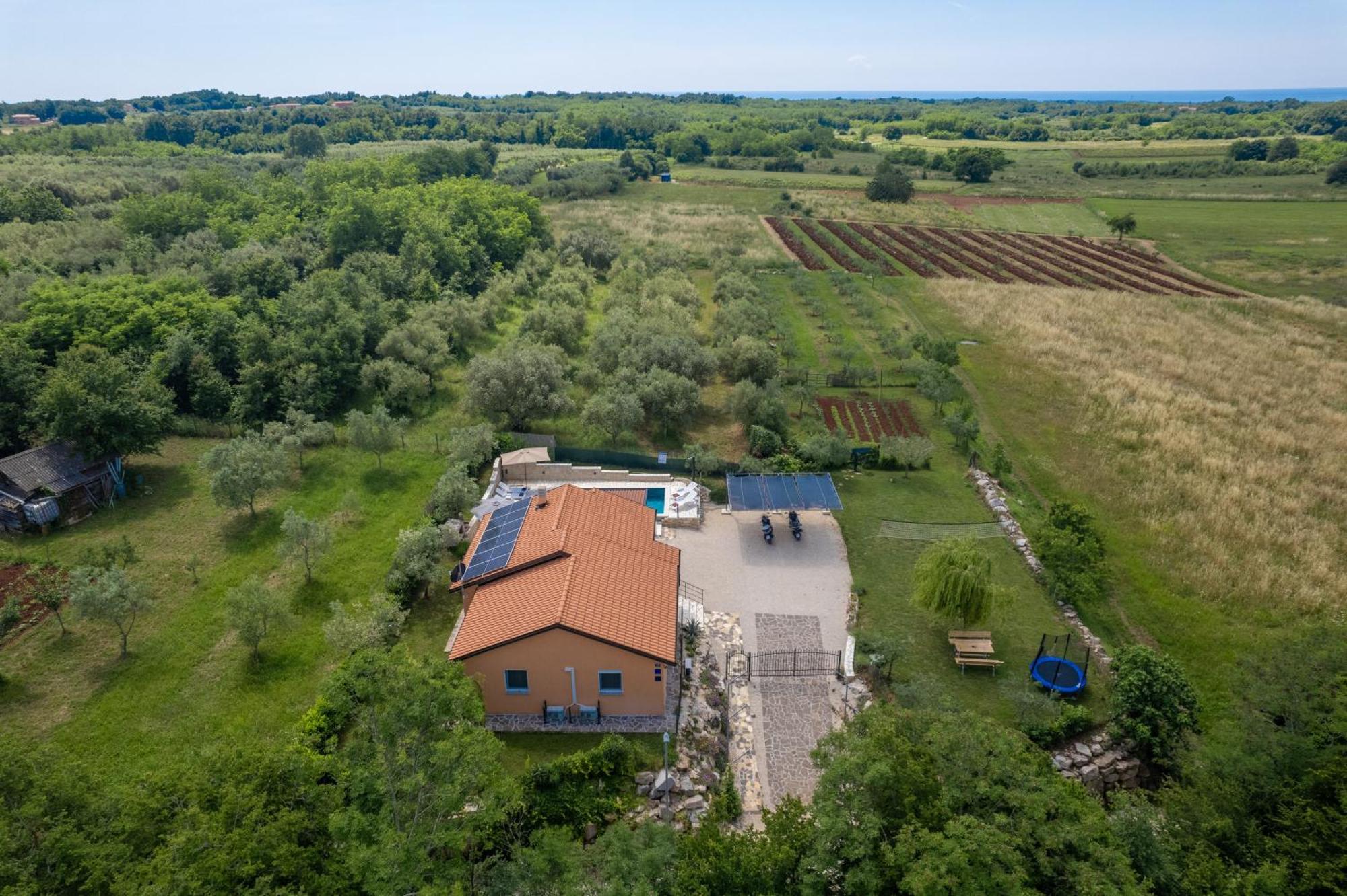 Villa Pendolina With Private Pool Buje Exterior photo