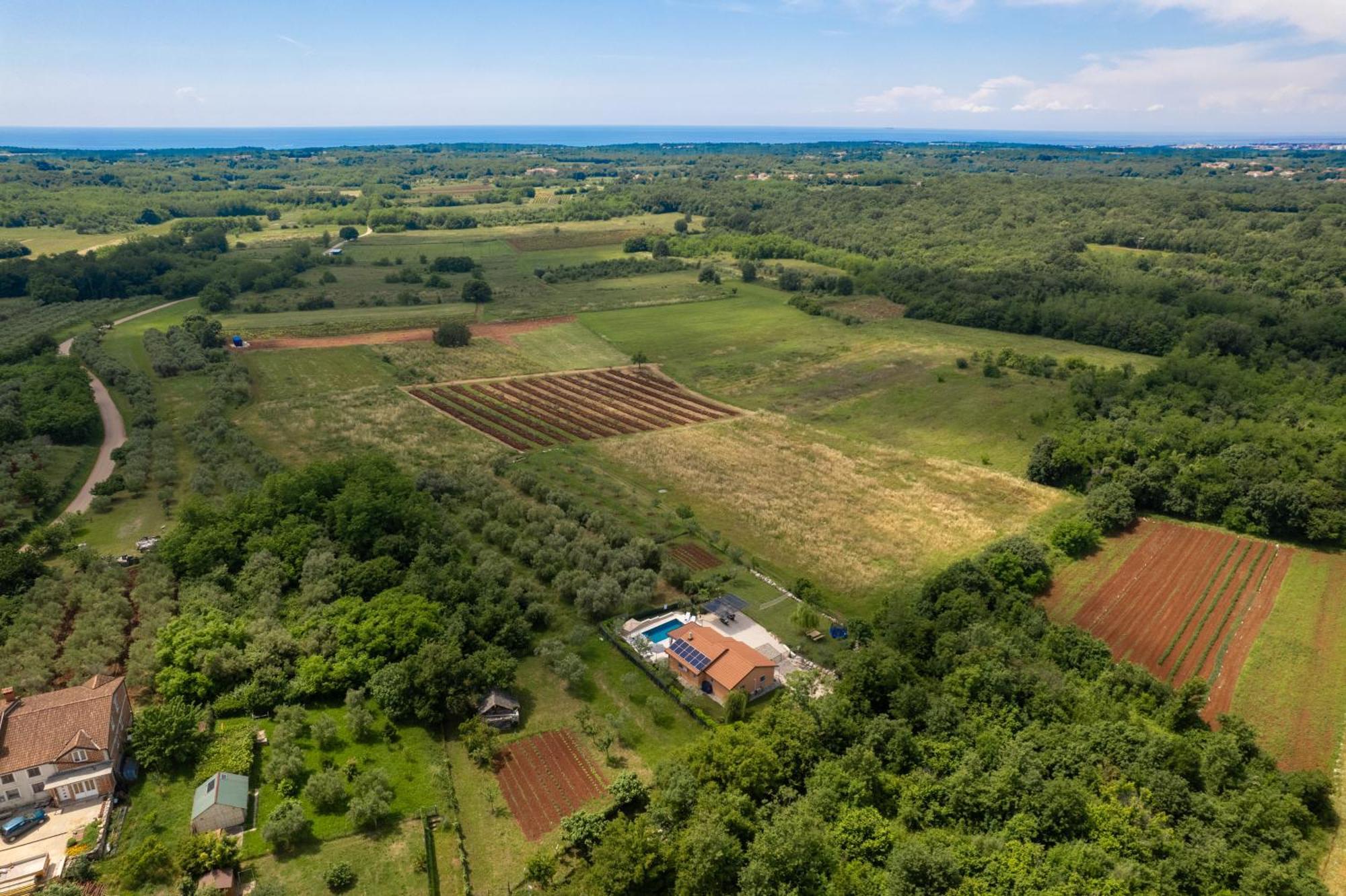 Villa Pendolina With Private Pool Buje Exterior photo